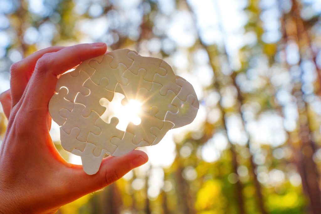 A hand holding a puzzle shaped like a brain with a piece in the middle missing, showing sunshine and trees behind.