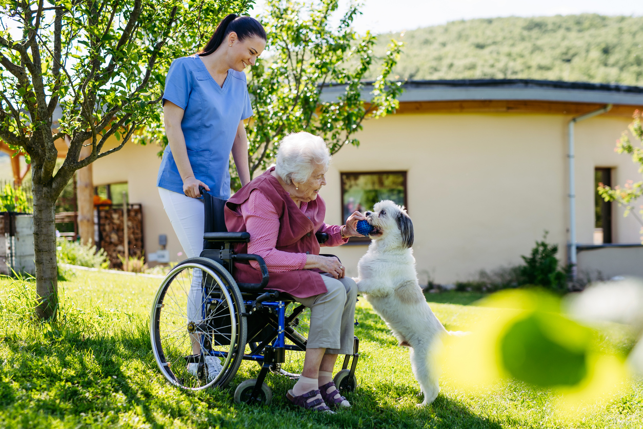 Nurse wheeling an older lady around who is playing with her dog